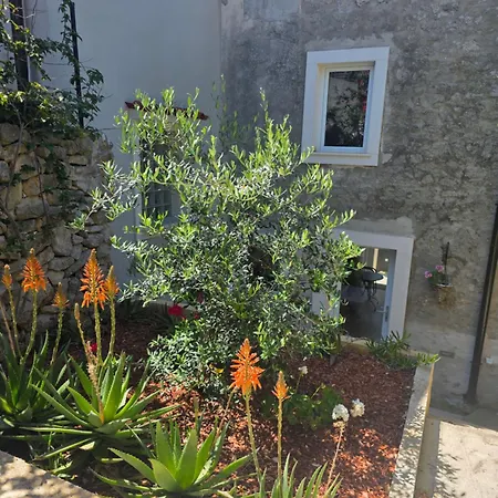 Castel